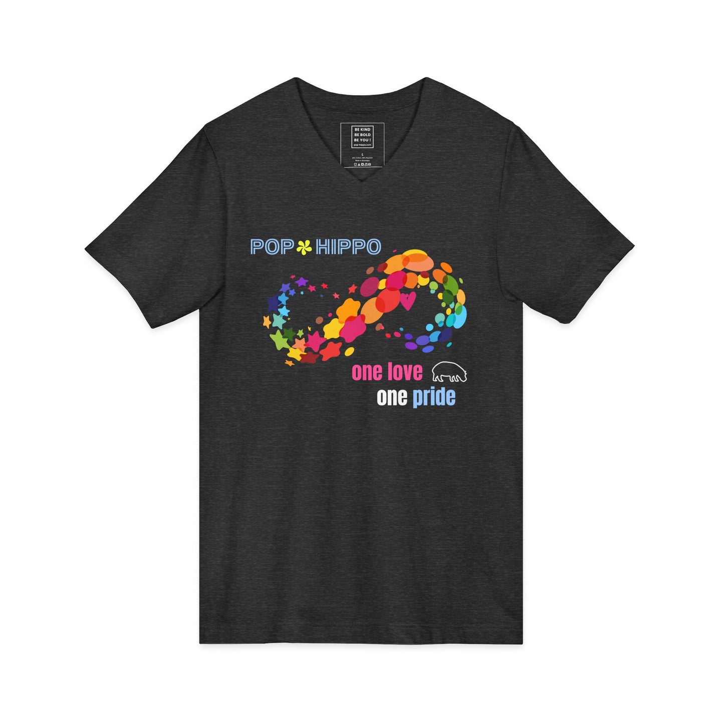 One Love * One Pride - V-Neck Tee